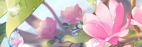 Banner de Felix